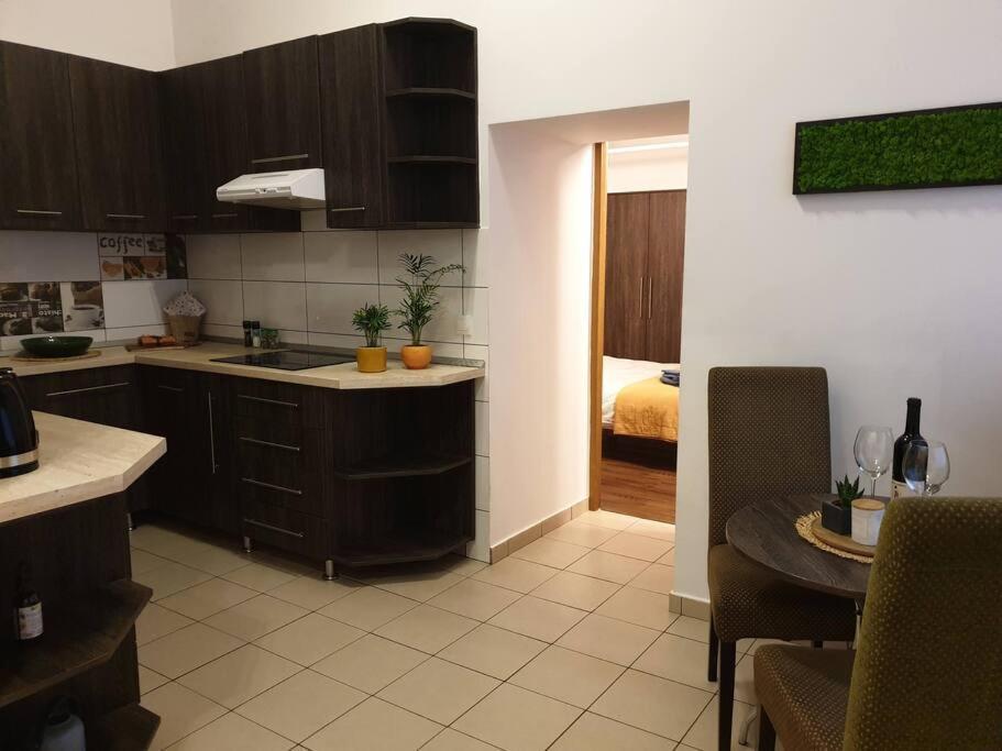 Zen By Downtown Apartments Târgu-Mureş エクステリア 写真