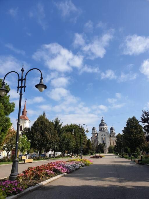 Zen By Downtown Apartments Târgu-Mureş エクステリア 写真