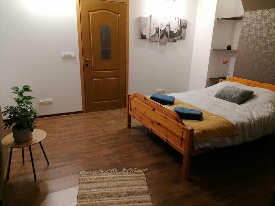 Zen By Downtown Apartments Târgu-Mureş エクステリア 写真